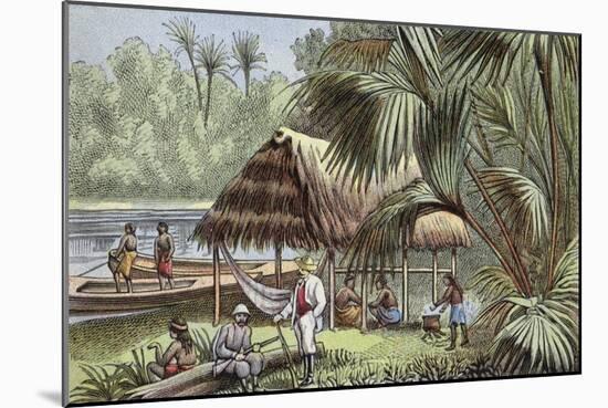 On the Banks of the Oyapock River, French Guiana-null-Mounted Giclee Print