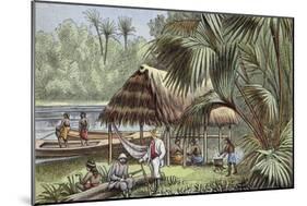 On the Banks of the Oyapock River, French Guiana-null-Mounted Giclee Print