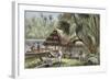 On the Banks of the Oyapock River, French Guiana-null-Framed Giclee Print