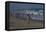 On The Beach, New Jersey Shore, 2014-Anthony Butera-Framed Stretched Canvas