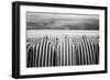 On The Beach-Toni Guerra-Framed Giclee Print