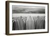On The Beach-Toni Guerra-Framed Giclee Print