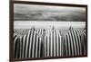 On The Beach-Toni Guerra-Framed Giclee Print