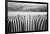 On The Beach-Toni Guerra-Framed Giclee Print