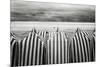 On The Beach-Toni Guerra-Mounted Giclee Print