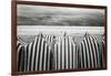 On The Beach-Toni Guerra-Framed Giclee Print