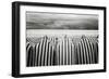 On the beach-Toni Guerra-Framed Photographic Print