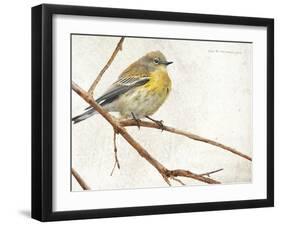 On the Branch III-Chris Vest-Framed Art Print