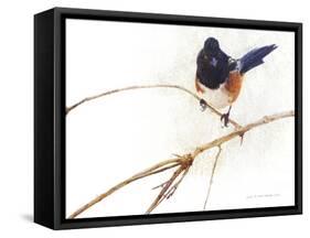 On the Branch IV-Chris Vest-Framed Stretched Canvas