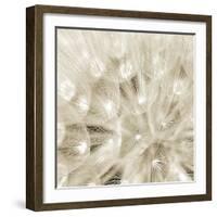 On The Breeze-Adam Brock-Framed Giclee Print