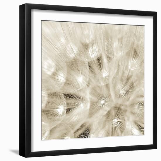 On The Breeze-Adam Brock-Framed Giclee Print