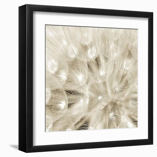 On The Breeze-Adam Brock-Framed Giclee Print