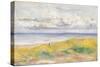 On the Cliffs; Sur La Falaise, 1880-Pierre-Auguste Renoir-Stretched Canvas