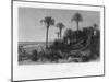 On the Coast of Florida-R Hinshelwood-Mounted Giclee Print