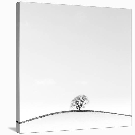 On the Crest-Doug Chinnery-Stretched Canvas