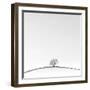 On the Crest-Doug Chinnery-Framed Premium Photographic Print