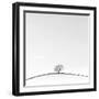 On the Crest-Doug Chinnery-Framed Premium Photographic Print