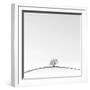 On the Crest-Doug Chinnery-Framed Premium Photographic Print