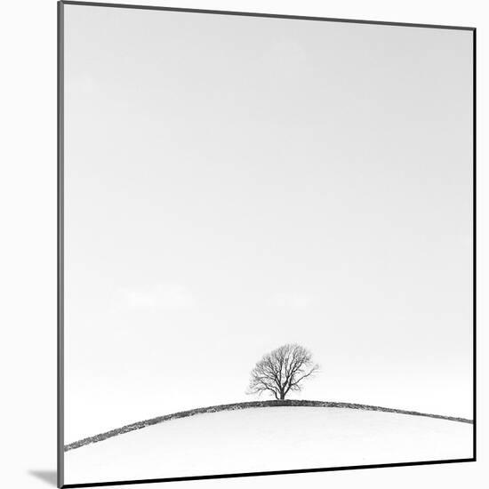 On the Crest-Doug Chinnery-Mounted Photographic Print