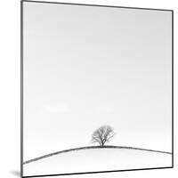 On the Crest-Doug Chinnery-Mounted Photographic Print