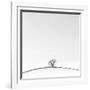 On the Crest-Doug Chinnery-Framed Photographic Print