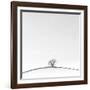 On the Crest-Doug Chinnery-Framed Photographic Print