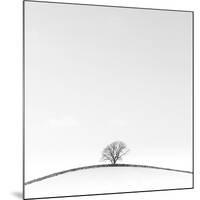 On the Crest-Doug Chinnery-Mounted Photographic Print