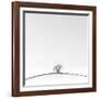 On the Crest-Doug Chinnery-Framed Photographic Print