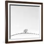 On the Crest-Doug Chinnery-Framed Photographic Print