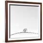 On the Crest-Doug Chinnery-Framed Photographic Print