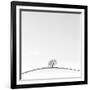 On the Crest-Doug Chinnery-Framed Photographic Print