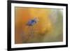 On the Cusp of Autumn-Jai Johnson-Framed Giclee Print