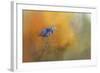 On the Cusp of Autumn-Jai Johnson-Framed Giclee Print