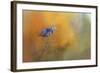 On the Cusp of Autumn-Jai Johnson-Framed Giclee Print