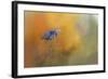 On the Cusp of Autumn-Jai Johnson-Framed Giclee Print