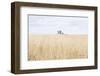 On the Edge I-Elizabeth Urquhart-Framed Photographic Print