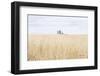 On the Edge I-Elizabeth Urquhart-Framed Photographic Print