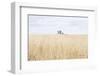 On the Edge I-Elizabeth Urquhart-Framed Photographic Print