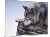 On the Edge-Rusty Frentner-Mounted Giclee Print