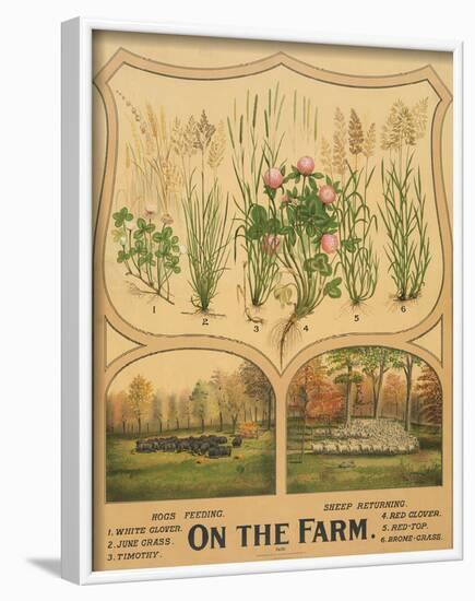 On the Farm, c. 1904-Vintage Reproduction-Framed Art Print