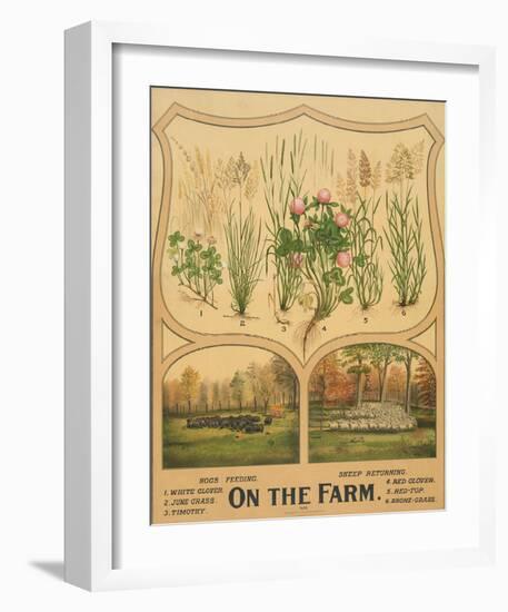 On the Farm, c. 1904-Vintage Reproduction-Framed Art Print