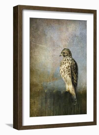 On the Fence Red Shouldered Hawk-Jai Johnson-Framed Giclee Print