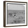 On the Fighting Line with the Queen's Bravest, Modder River, South Africa, 1900-Underwood & Underwood-Framed Giclee Print