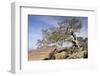 On the Flank of Mount Workamba, Tambien Region, Tigre Province, Ethiopia, Africa-Bruno Barbier-Framed Photographic Print