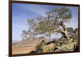 On the Flank of Mount Workamba, Tambien Region, Tigre Province, Ethiopia, Africa-Bruno Barbier-Framed Photographic Print