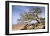 On the Flank of Mount Workamba, Tambien Region, Tigre Province, Ethiopia, Africa-Bruno Barbier-Framed Photographic Print