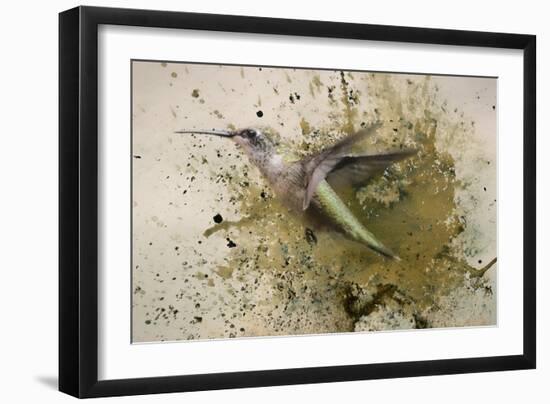 On The Fly-Jai Johnson-Framed Giclee Print