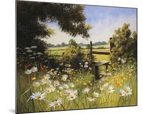 On the Footpath-Mary Dipnall-Mounted Giclee Print