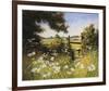 On the Footpath-Mary Dipnall-Framed Giclee Print