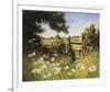 On the Footpath-Mary Dipnall-Framed Giclee Print